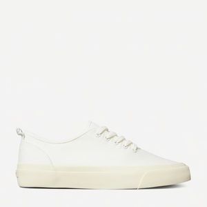 Everlane the Forever sneaker (NEW)